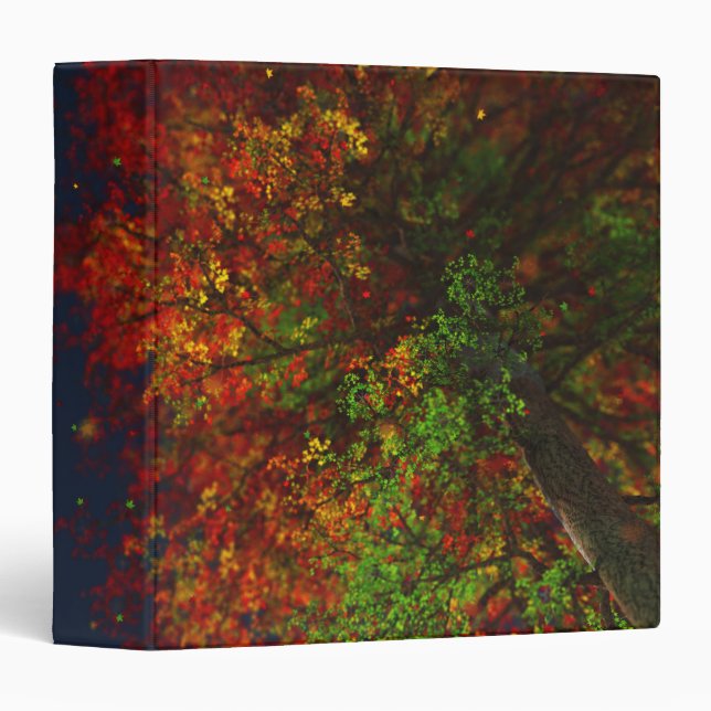 Falling Rainbow Binder (Front/Spine)