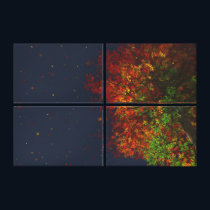 Falling Rainbow Canvas Print