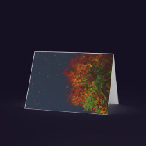 Falling Rainbow Card