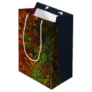 Falling Rainbow Gift Bag