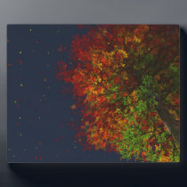 Falling Rainbow Picture Plaque