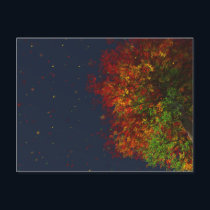 Falling Rainbow Postcard