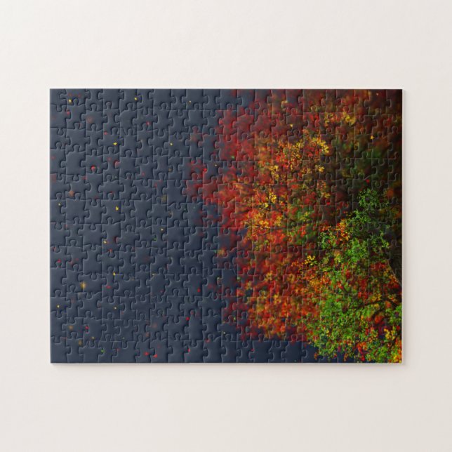 Falling Rainbow Puzzle (Horizontal)