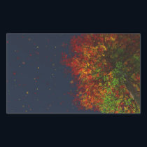 Falling Rainbow Stickers