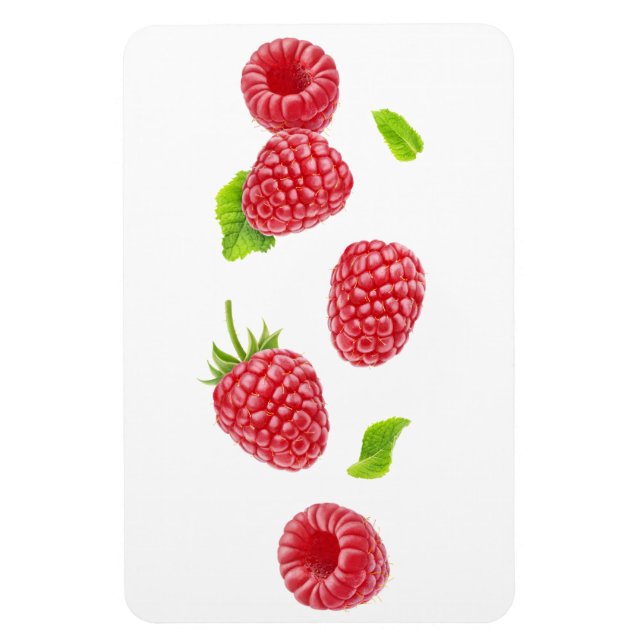 Falling raspberries magnet (Vertical)