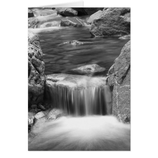 Falling Water Cards (Front)