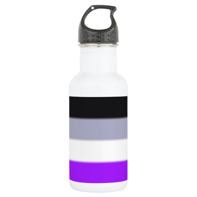 Falln Asexual Pride Flag Stainless Steel Water Bottle (Front)