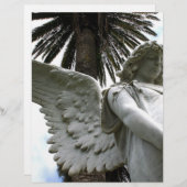 Falln At Peace (Front/Back)