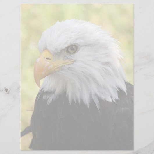 Falln Bald Eagle Liberty (Front)