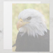 Falln Bald Eagle Liberty (Front/Back)
