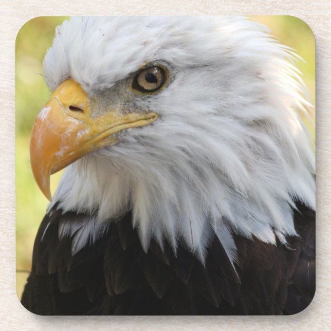 Falln Bald Eagle Liberty Beverage Coaster (Front)