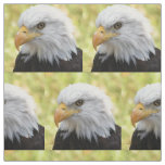 Falln Bald Eagle Liberty Fabric