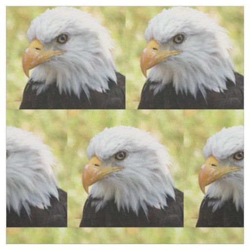 Falln Bald Eagle Liberty Fabric