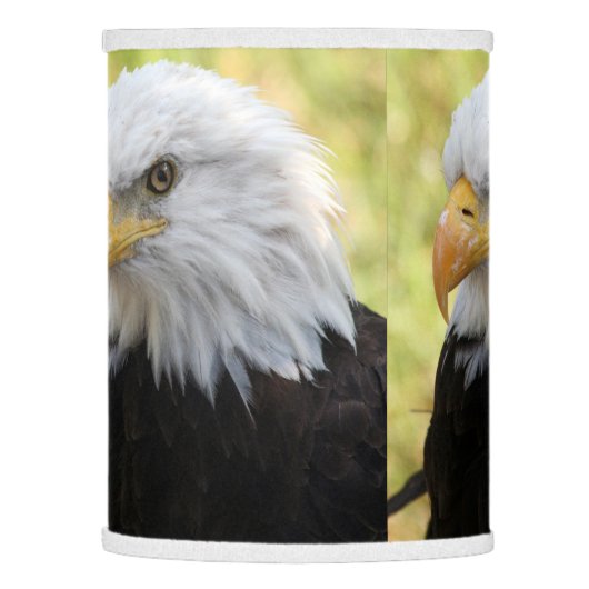 Falln Bald Eagle Liberty Lamp Shade (Left)