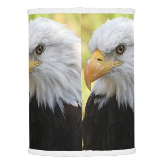 Falln Bald Eagle Liberty Lamp Shade (Back)