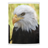 Falln Bald Eagle Liberty Lamp Shade (Front)