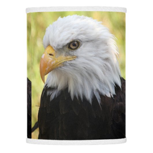 Falln Bald Eagle Liberty Lamp Shade (Front)