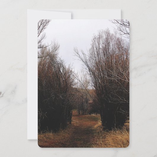 Falln Bannack Overgrowth (Back)