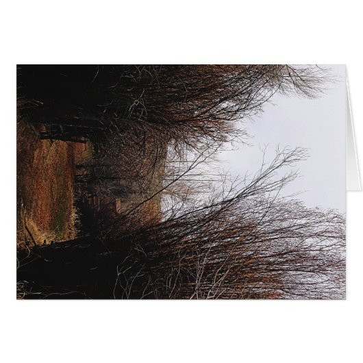 Falln Bannack Overgrowth Cards (Front Horizontal)