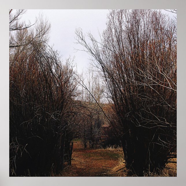 Falln Bannack Overgrowth Poster (Front)