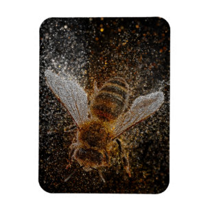 Falln Bees Are Magic Magnet