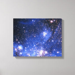 Falln Blue Embrionic Stars Canvas Print