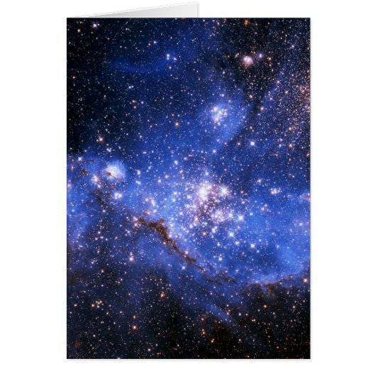 Falln Blue Embrionic Stars Cards (Front)