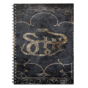 Falln Book of Sin