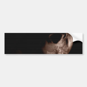 Falln Break Free Bumper Sticker