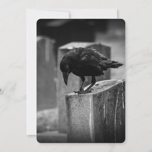 Falln Cemetery Crow (Back)