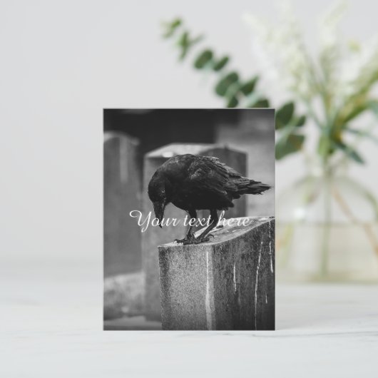 Falln Cemetery Crow (Standing Front)