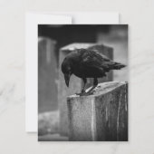 Falln Cemetery Crow (Back)