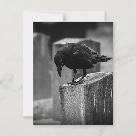 Falln Cemetery Crow (Back)