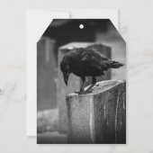 Falln Cemetery Crow (Back)