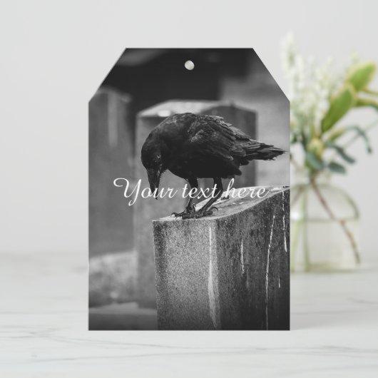 Falln Cemetery Crow (Standing Front)