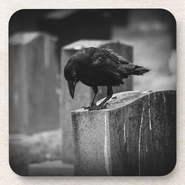 Falln Cemetery Crow Beverage Coaster (Front)