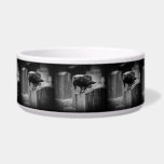 Falln Cemetery Crow Bowl<br><div class="desc">My photography</div>