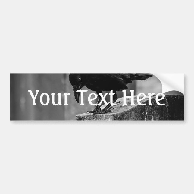 Falln Cemetery Crow Bumper Sticker (Front)