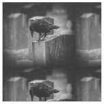 Falln Cemetery Crow Fabric