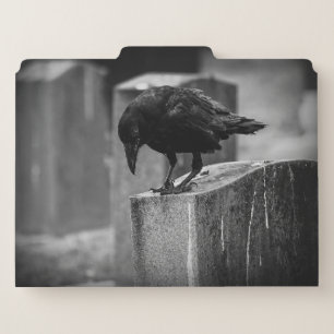 Falln Cemetery Crow File Folder