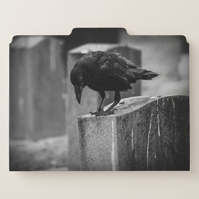 Falln Cemetery Crow File Folder (Back Center)