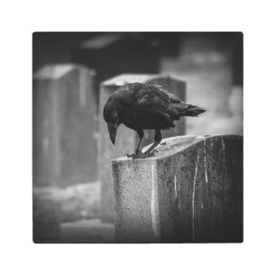 Falln Cemetery Crow Metal Print