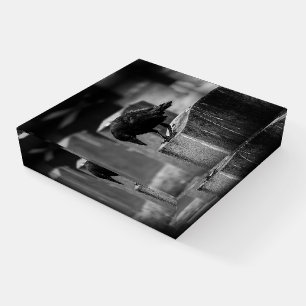 Falln Cemetery Crow Paperweight