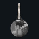 Falln Cemetery Crow Pet ID Tag<br><div class="desc">My photography</div>
