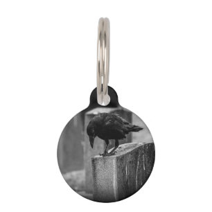 Falln Cemetery Crow Pet ID Tag