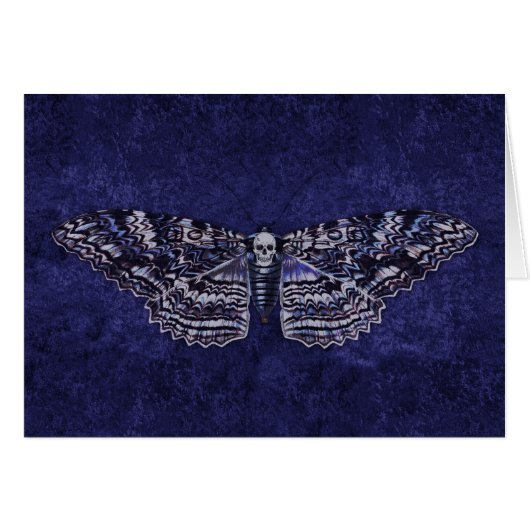 Falln Deathshead Moth (Front Horizontal)