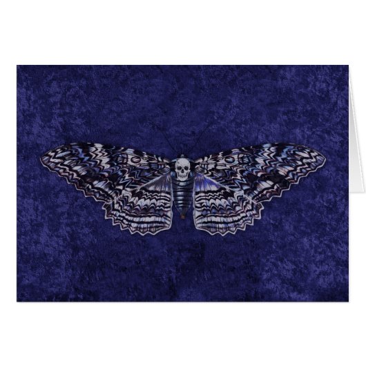 Falln Deathshead Moth (Front Horizontal)