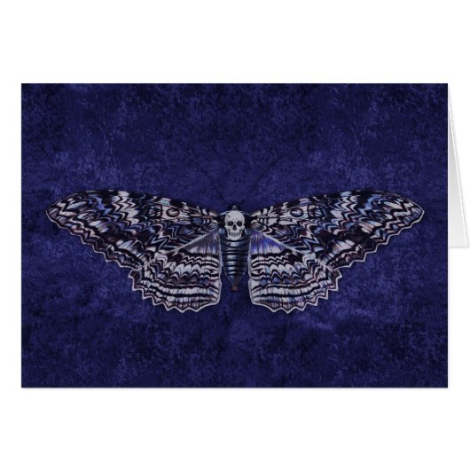 Falln Deathshead Moth (Front Horizontal)