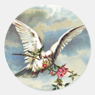 Falln Dove with Roses Classic Round Sticker