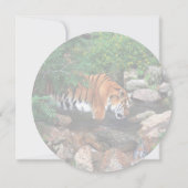 Falln Drinking Tiger (Back)